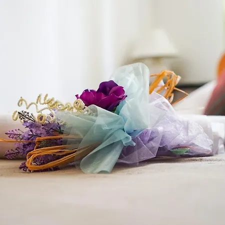 Floral 아파트 자다르