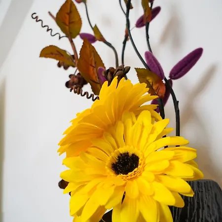 Apartment Floral *