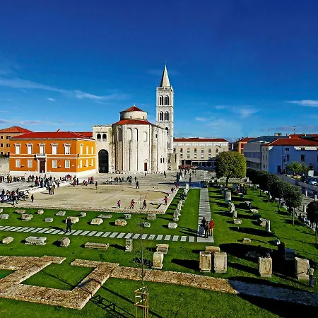 Floral * Zadar